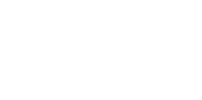 Clever Cleaner